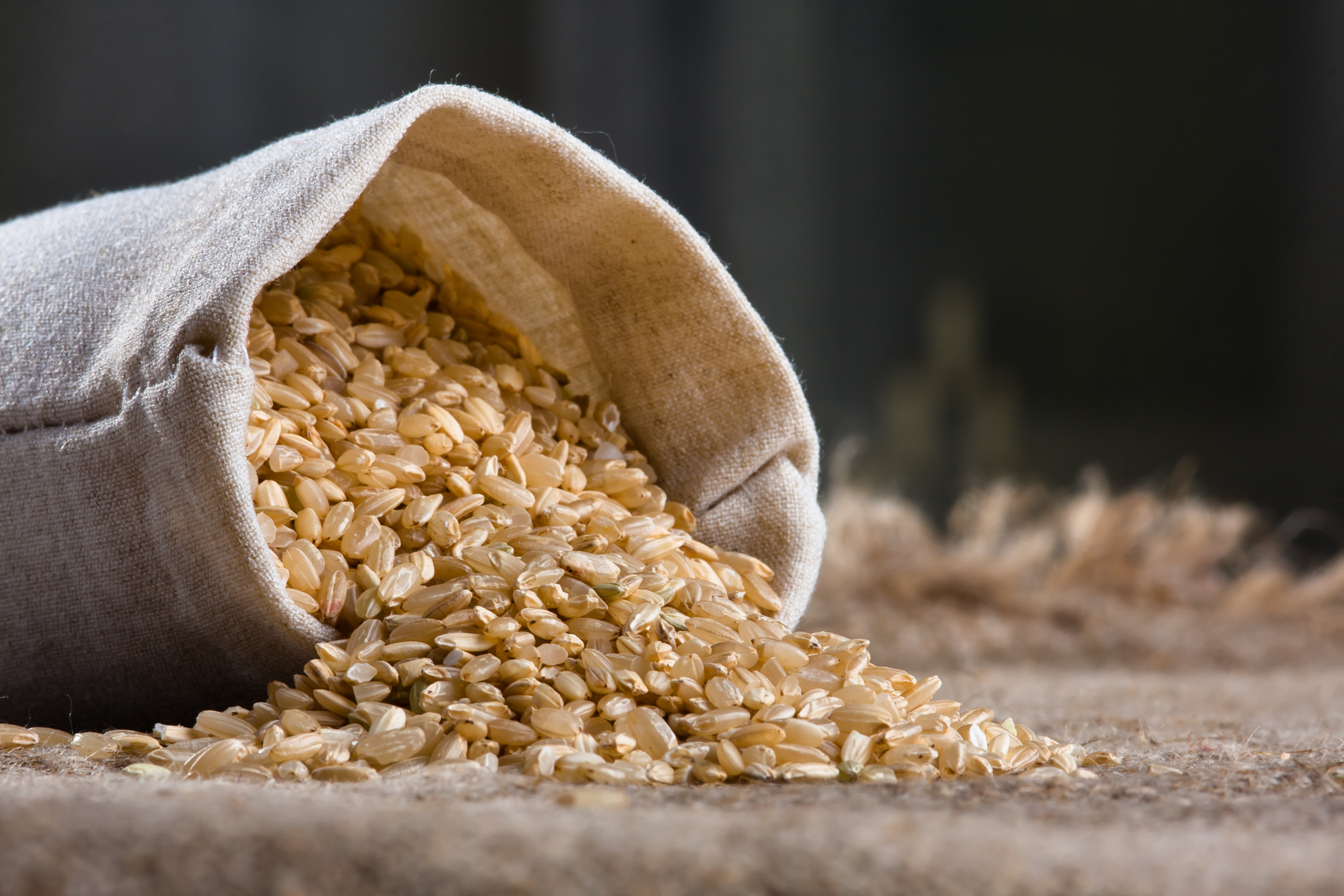 Healthy brown rice
